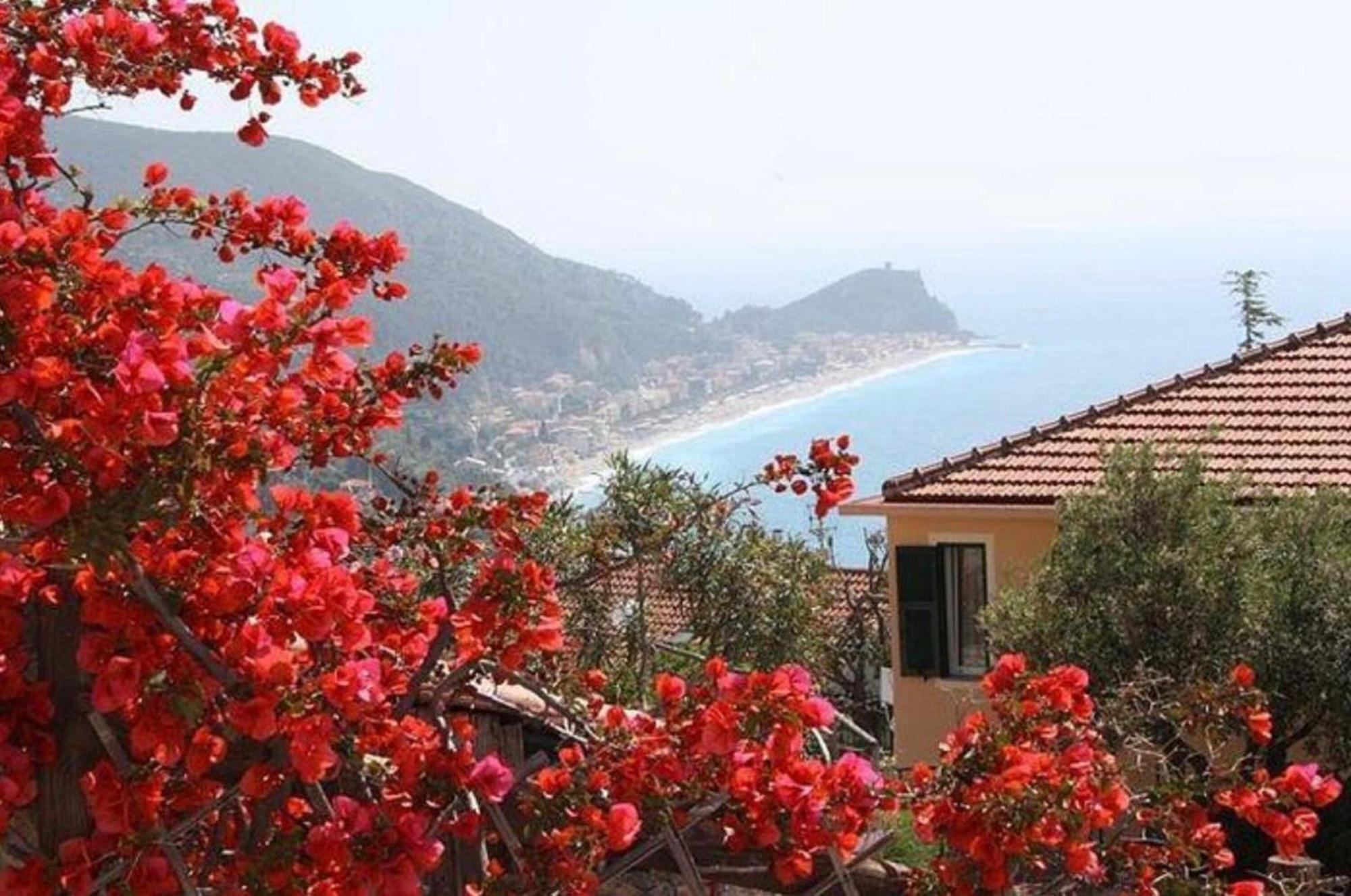 Alloggio per agriturismo La Realidad